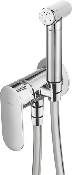 Deante Alpinia baterie bideu ascuns crom BGA034M