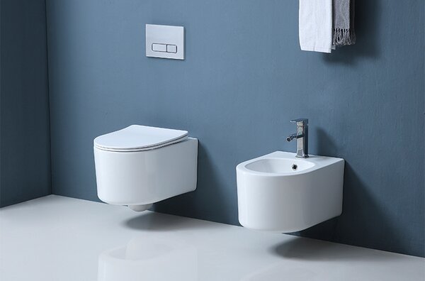 Set vas WC suspendat, Fluminia, Roco, compact, cu capac, alb