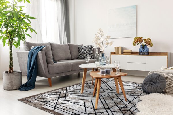 Covor modern COZY Tico, geometric - structural două niveluri de lână braun