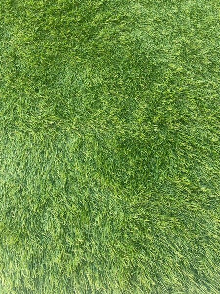 Covor Gazon Iarba Artificiala Jakarta, Gradinita Loc de Joaca Terasa Curte, Inaltime fir 30 mm, Verde, SUPER PRET!!! 200 x 1300