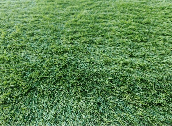 Covor Gazon Iarba Artificiala Jakarta 30 mm 200x200 Verde 200 x 200