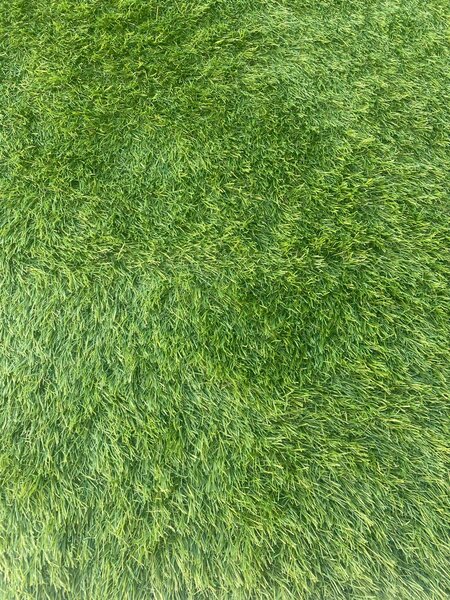 Covor Gazon Iarba Artificiala Jakarta 30 mm 200x200 Verde 200 x 200