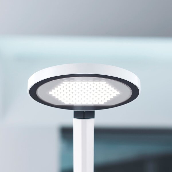 Waldmann Lampă de masă cu LED PARA.MI FTL 102 R alb 940, reglabil, Alb, Studiu / Birou, Metal