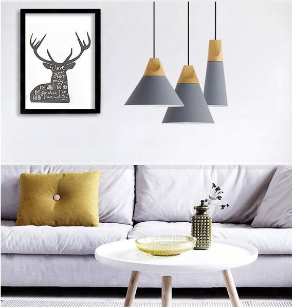 Lampa DE TAVAN SCANDIC C alb