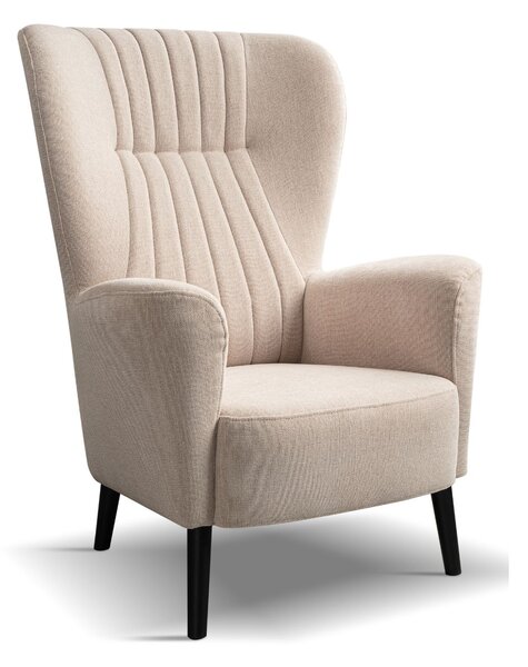 Fotoliu cu urechi Wingback Tulle1