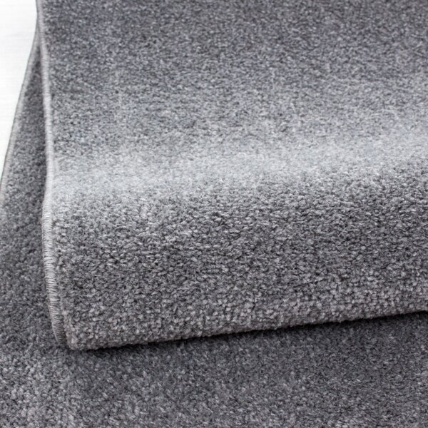 Covor Ata Gri Deschis Deschis 200x290