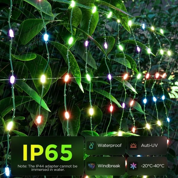 Govee - LED RGBIC Plasă luminoasă pentru exterior 143x85cm Wi-Fi Matter IP65