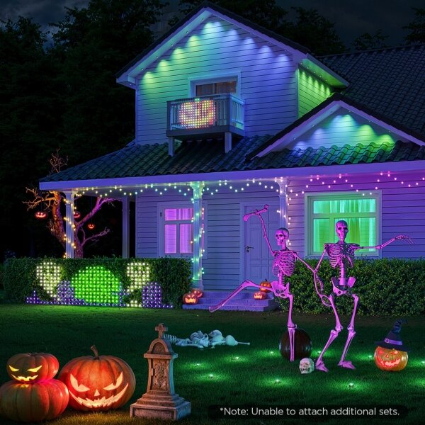 Govee - LED RGBIC Plasă luminoasă pentru exterior 143x85cm Wi-Fi Matter IP65