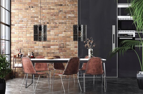 LAMPA DE TAVAN SUSPENDABILA IN STIL loft LH2043