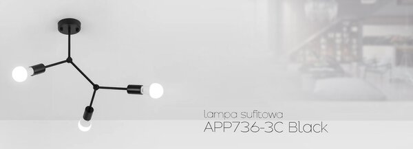 LAMPA PLAFON CLASICA NEAGRA METAL LOFT APP736-3C