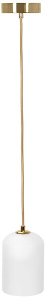 Lampă suspendată AAPP1169-1CP
