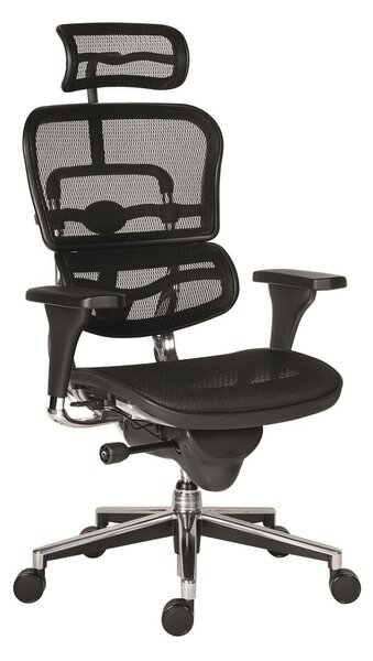 Scaun de birou Ergohuman, negru