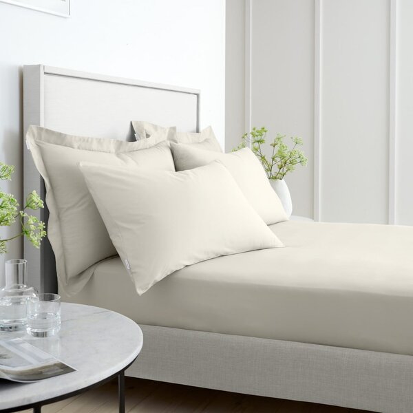 Cearceaf bej din bumbac percal cu elastic 90x190 cm Cotton Percale – Bianca