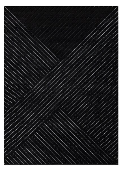Exclusiv EMERALD covor A0084 glamour, stilat, linii, geometric negru / argint