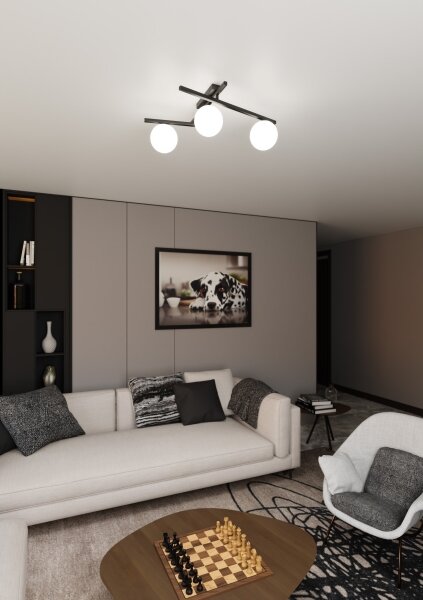 Plafonieră SMART 3xE14/10W/230V negru/alb