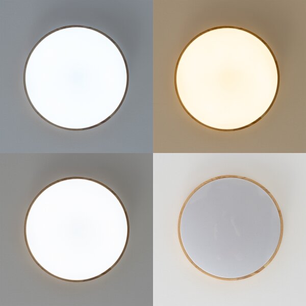 Brilagi - Plafonier LED reglabil PINE LED/24W/230V + telecomandă