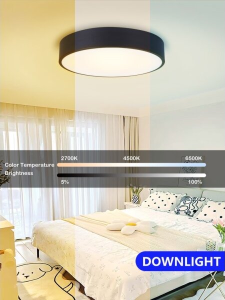 Immax NEO 07201L-LED Plafonieră dimabilă RONDATE 28W/230V negru Tuya+DO