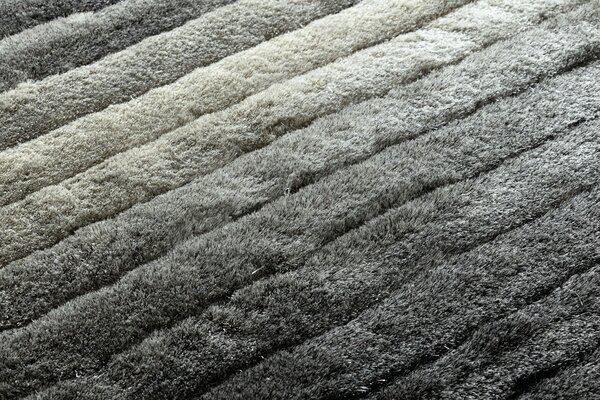 Covor FLIM 007-B6 modern shaggy, dunga - structural gri
