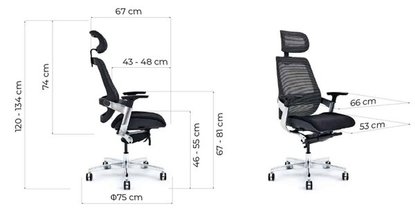 Scaun lemn masiv de birou ErgoElite Design Modern Negru