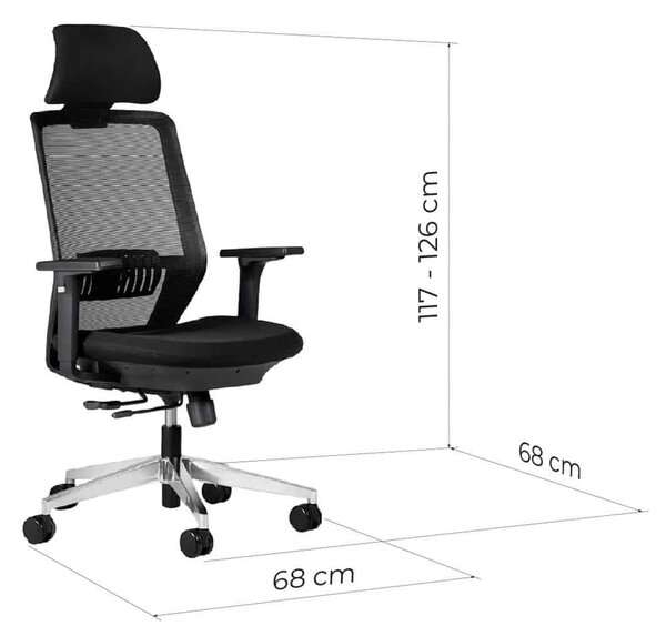 Scaun lemn masiv de birou ErgoDynamic Negru