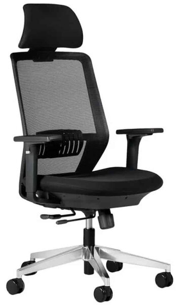 Scaun lemn masiv de birou ErgoDynamic Negru