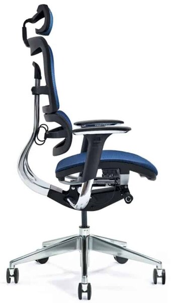 Scaun lemn masiv de birou ErgoComfort Plasă Respirabilă Albastru