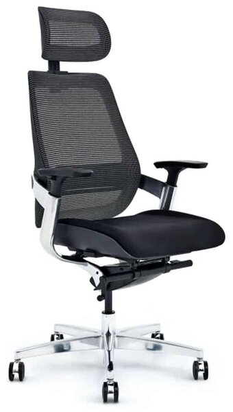 Scaun lemn masiv de birou ErgoElite Design Modern Negru