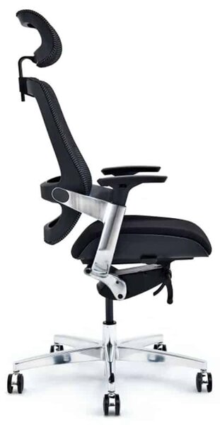Scaun lemn masiv de birou ErgoElite Design Modern Negru