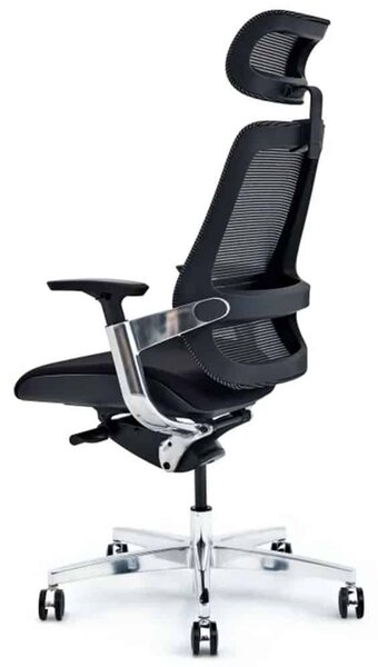 Scaun lemn masiv de birou ErgoElite Design Modern Negru
