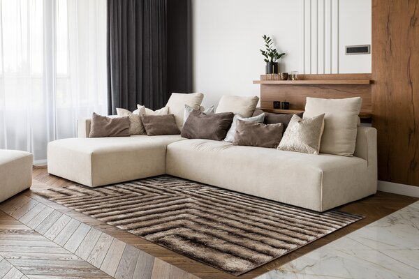 Covor FLIM 010-B7 modern shaggy, labirint - structural maro
