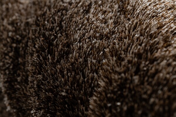 Covor FLIM 008-B7 modern shaggy, cercuri - structural maro
