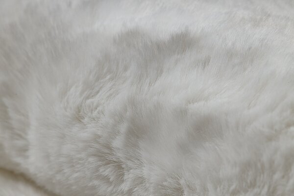Covor lavabil modern SHAPE 3150 Fluture shaggy - fildeş, antiderapant