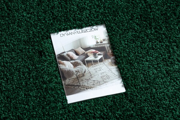 Covor SOFFI shaggy 5cm sticla verde