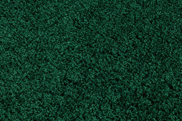 Covor SOFFI shaggy 5cm sticla verde
