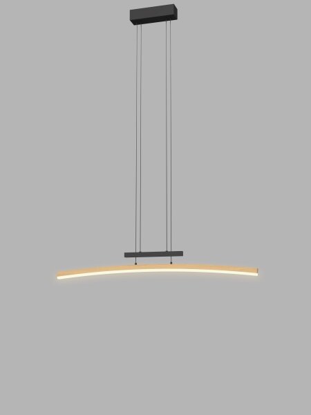 Lustră LED dimabilă pe cablu Wofi 7020-106 BOLOGNA LED/27W/230V