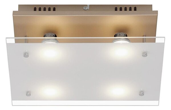 Plafonieră LED Briloner 3586-047 SMART GOLD 4xGU10/4W/230V