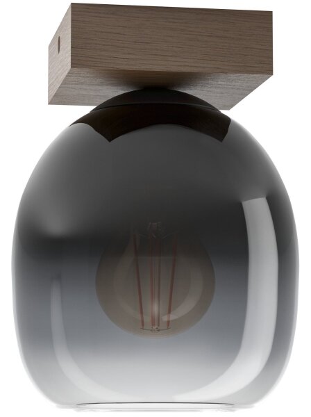 Plafonieră FILAGO Eglo 900825 1xE27/40W/230V