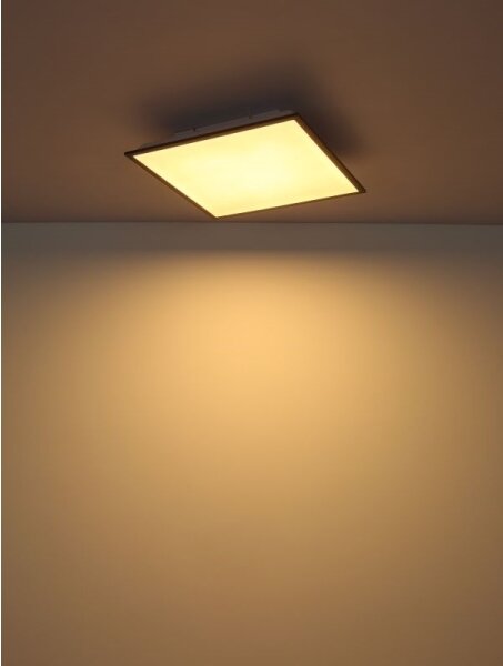 Globo 416080D2 - Plafonieră LED DORO LED/24W/230V