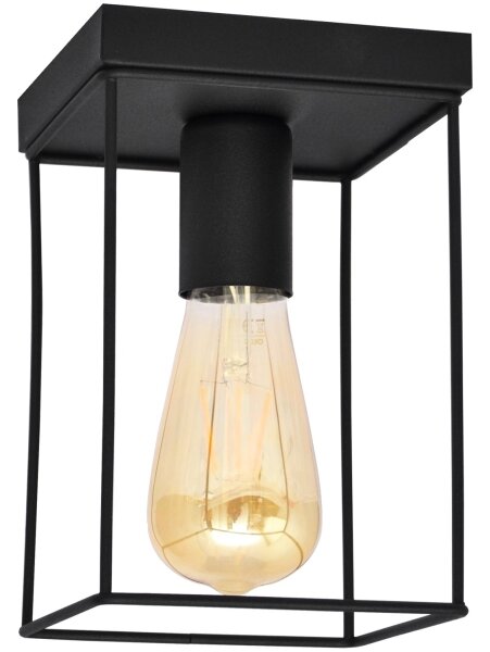 Plafonieră FINN 1xE27/15W/230V negru