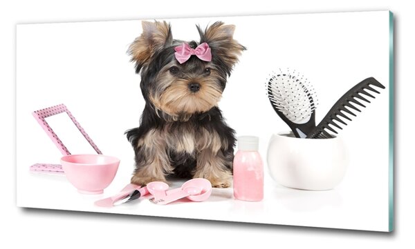 Tablou din Sticlă cosmetice Yorkshire