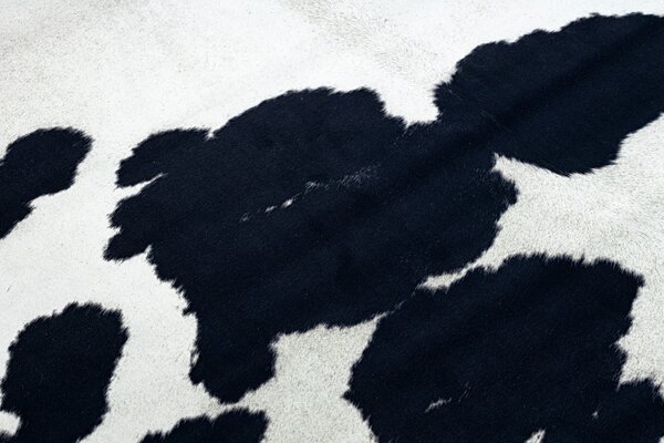 Covor Artificial Cowhide, Vaca G5069-1 alb negru din piele