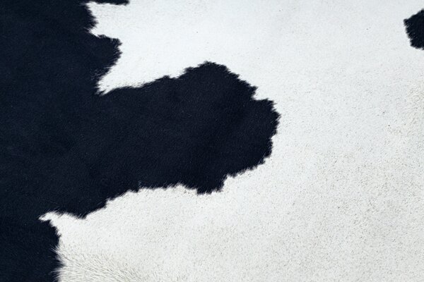 Covor Artificial Cowhide, Vaca G5069-1 alb negru din piele