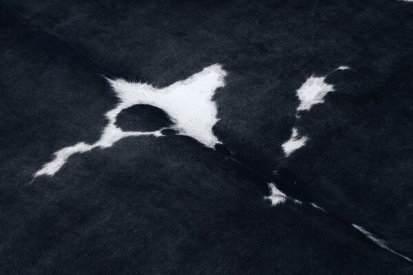 Covor Artificial Cowhide, Vaca G5070-3 negru alb din piele