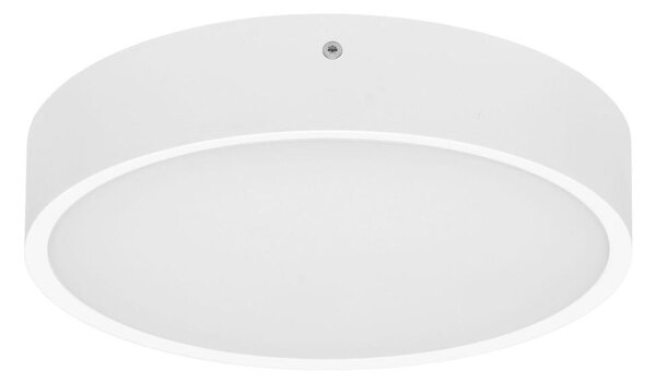 Plafonieră LED Ecolite WMAT300-15W/BI MARTIN LED/15W/230V IP65 alb