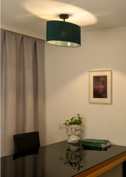 Lustră aplicată Duolla OVAL 1xE27/15W/230V verde