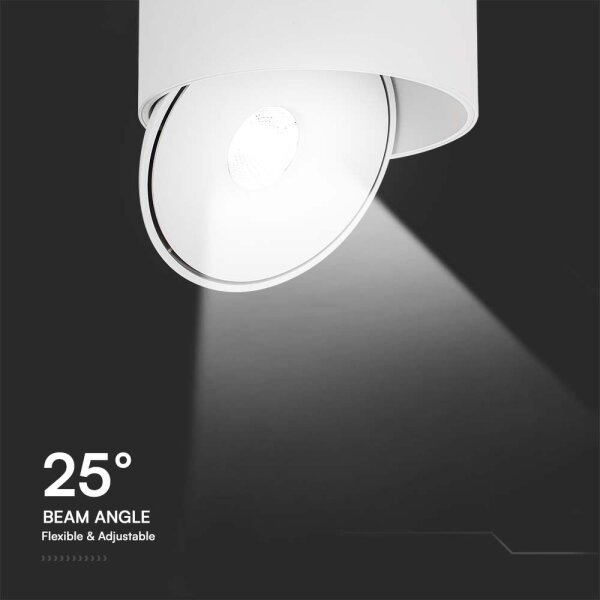 Spot LED/20W/230V 3000/4000/6400K alb