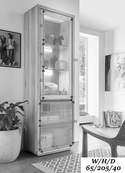 Vitrină lemn masiv I Urban Loft, 65 × 205 × 40 cm - stanga
