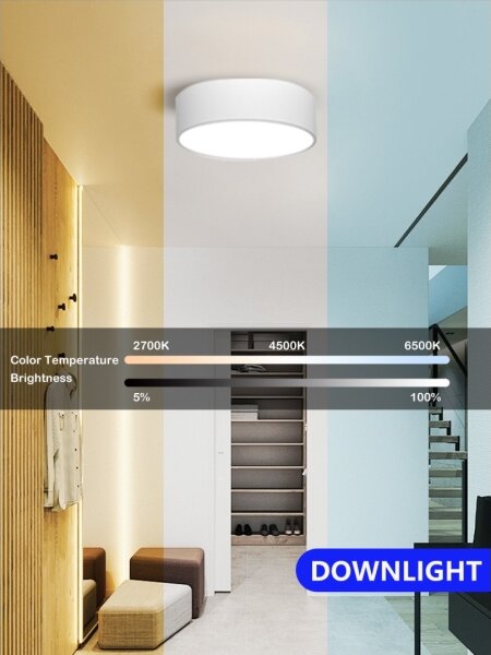 Plafonieră LED dimabilă Immax NEO 07204L RONDATE LED/18W/230V alb Tuya + telecomandă