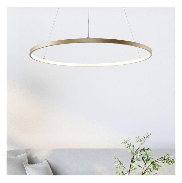 Lustră LED pe cablu Zuma Line 2023201-GD80 BRENO LED/36W/230V 3000/4000/6000K