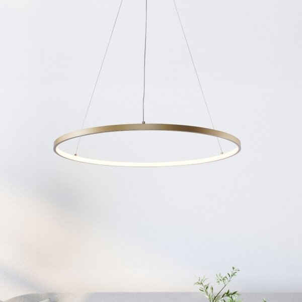 Lustră LED pe cablu Zuma Line 2023201-GD80 BRENO LED/36W/230V 3000/4000/6000K